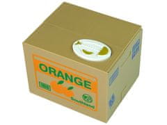 Lean-toys Peniaze Box Cat Učíme sa šetriť Orange