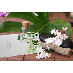 Telone Floral puzdro pre Samsung Galaxy S8 - Transparentná KP18124