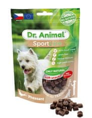Dr. Animal Pamlsok pre psa Sportline bažant 100 g