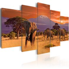 Artgeist Obraz - Afrika: Slony 100x50 obraz na plátne s dreveným rámom