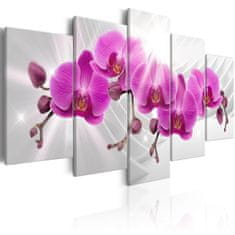 Artgeist Obraz - Abstraktná záhrada: Ružové orchidey 200x100 obraz na plátne s dreveným rámom
