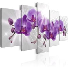 Artgeist Obraz - Abstraktná záhrada: Fialové orchidey 200x100 obraz na plátne s dreveným rámom