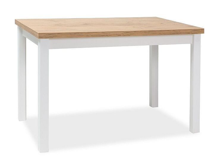 CASARREDO Jedálenský stôl ADAM 120x68 dub lancelot/biela mat