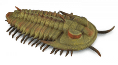 COLLECTA figúrka Redlichia Rex - trilobit