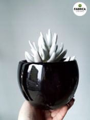 Polnix Keramický kvetináč čierna guľa 11 cm