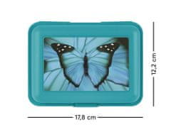 BAAGL Box na desiatu Butterfly