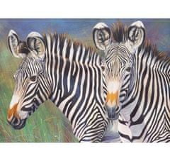 ROYAL Langnickel Maľovanie podľa čísel - zebry