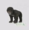 Gorila horská mláďa