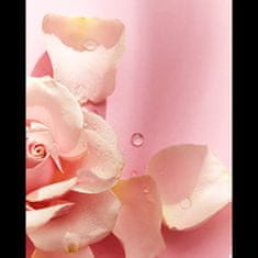 Nivea Pečující sprchový gel Care & Roses (Objem 500 ml)