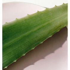 Nivea Ľahké telové mlieko Aloe Hydration ( Body Lotion) (Objem 400 ml)