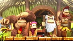 Nintendo Donkey Kong Country : Tropical Freeze (NSW)