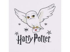 sarcia.eu Harry Potter Bielo-béžové letné pyžamo pre dievčatá, krátke rukávy, volány 9-10 let 134/140 cm
