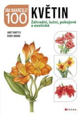 Jak nakreslit 100 květin - Zahradní, luční, pokojové a exotické