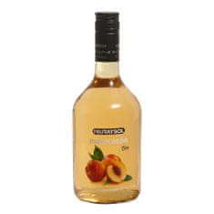 FRUTAYSOL Peach 0,70L - Nealkoholický likér s príchuťou broskyne 0,0% alk.