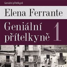 Elena Ferrante: Geniální přítelkyně 1 - Díl první