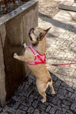 curli Postroj pre psov so sponou Merino vlna Red XL, 12-18 kg