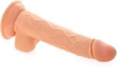 XSARA Vzpřímený penis realistické dildo s varlaty na přísavce - 71788397