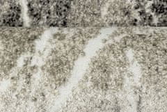 Kusový koberec Victoria 8002-944 160x230