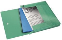 LEITZ Box na dokumenty Esselte Colour'Breeze A4, 25 mm, ľadovo zelená