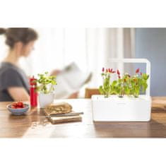 Click and Grow Smart Garden 3 inteligentný kvetináč + 3ks kapsúl so semienkami bazalky, béžový