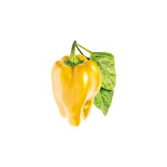 Click and Grow sladká žltá paprika, kapsule so semienkami a substrátom 3ks
