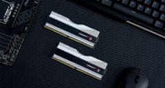 G.Skill Trident Z5 RGB 32GB (2x16GB) DDR5 5200 CL36, AMD EXPO, strieborná