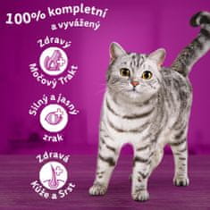 Whiskas granule kuracie pre dospelé mačky 3,8 kg