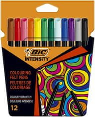 Bic Súprava fixiek "Intensity Up", 12 rôznych farieb, 978004