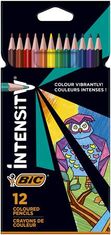 Bic Súprava pasteliek "Intensity Up", 12 rôznych farieb, trojuholníkový tvar, 9505273