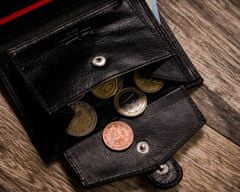 Pierre Cardin Veľká pánska peňaženka z prírodnej kože bez zapínania