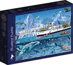 Blue Bird Puzzle Arktída: Loď Bluebird 1500 dielikov