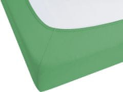 Beliani Bavlnená posteľná plachta 200 x 200 cm zelená JANBU