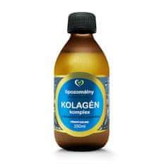 Zdravý svet Lipozomálny hydrolyzovaný kolagén komplex 250 ml